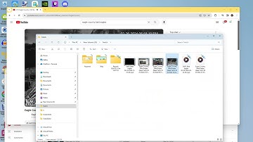 Eagle Country Bald Eagles (Nest Cam) 02/26/2024 23:45