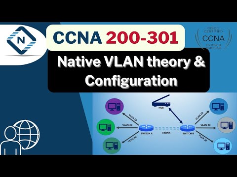 Free CCNA (NEW) | Native VLAN theory and Configuration | Day 21 | CCNA 200-301 Complete Course