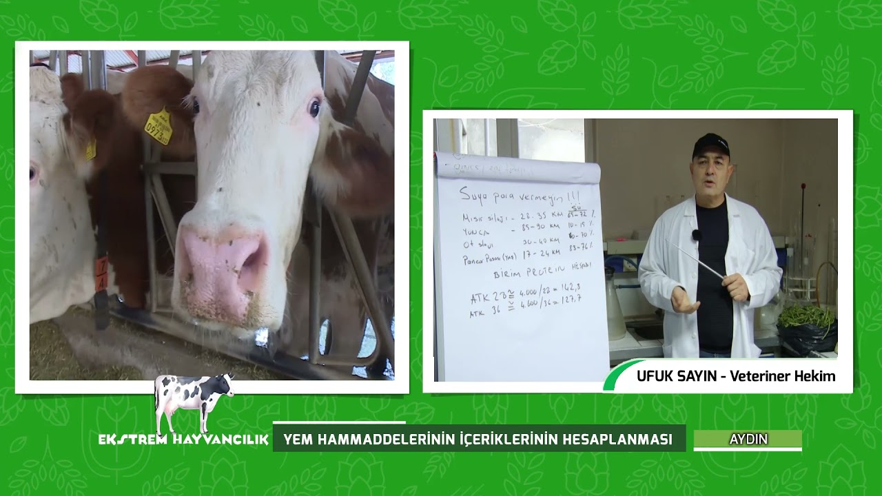 YEM HAMMADDELERİNİN İÇERİKLERİNİN HESAPLANMASI | EKSTREM HAYVANCILIK