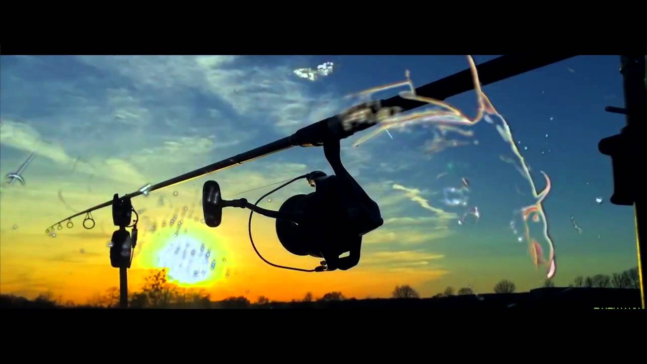 CS 2016   Official Video