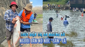 Thủy điện Trị An ngưng xả, người dân nô nức "săn" cá