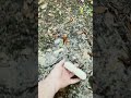 25 min drive for a 5 min fix