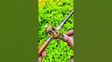 Cần câu bút rút gọn 20cm, dài 1,8 mét, bỏ túi 😍 | Fishcamp Việt Nam #3  #fishing  #fishinglure