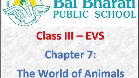 III EVS Chapter 7 The World Of Animals Exercises Part 3