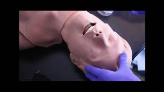 OPA - measurement and insertion