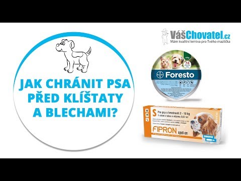 Video: Jak Chránit Vašeho Psa Před Komáry