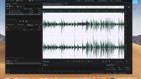 Adobe Audition 2020 Basics: Importing Sound Bite WAV Files