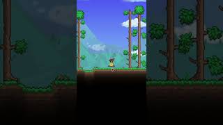 Terraria COOL but DUMB Mods!? Part 2 Terraria COOL but DUMB Mods!? Part 2