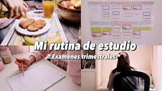 MI RUTINA DE ESTUDIO de un fin de semana en exámenes { cómo estudio y me organizo }