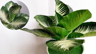 Cara membuat bunga aglonema dari plastik kresek | How to recycle plastic bags into beautiful plants