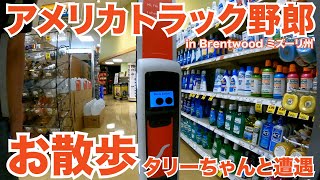 アメリカ長距離トラック運転手 お散歩 タリーちゃんと遭遇 in Brentwood ミズーリ州 【#433 2021-6-30】