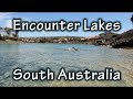 Physical Challenge #1 - Encounter Lakes Marathon Swim, South Australia