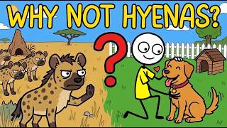 Hyenas Lived Next to Humans. So Why Didn’t They Become Dogs?