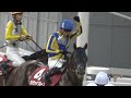 【現地撮影優勝レース】2026年7月29日川崎競馬場11Rハリウッドブルース&野畑凌騎手優勝！