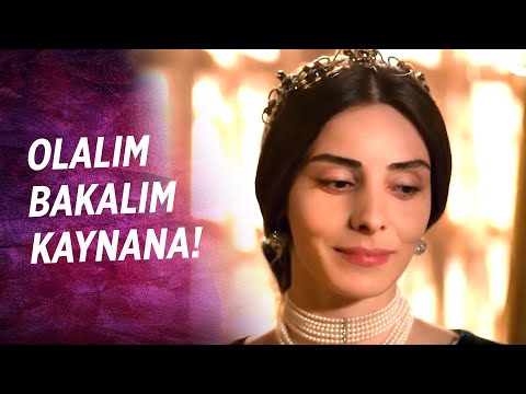 Bu Kız Tam Senlik Mustafa'm