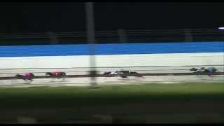 Mandurah-11062015-Race-4