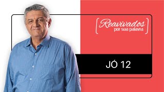 REAVIVADOS JÓ 12