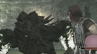 Shadow of the Colossus 8th Colossus HD running on PCSX2 1.1.0