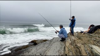 Tautog fishing at Beavertail Lighthouse, Jamestown, RI (10/14, 2024)
