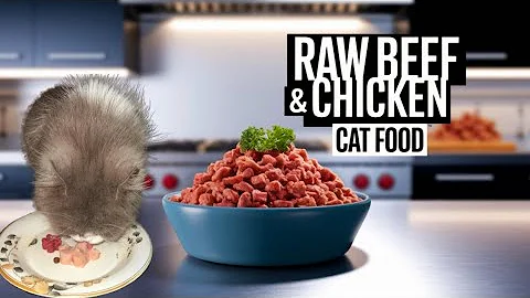 Video 8606471: persian cat feeding, best persian cat food, persian catfood, healthy cat food, kitten