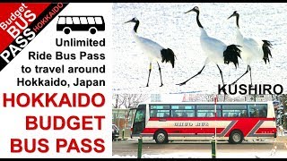 HOKKAIDO BUDGET BUS PASS / Kushiro / Wild Japanese Crane