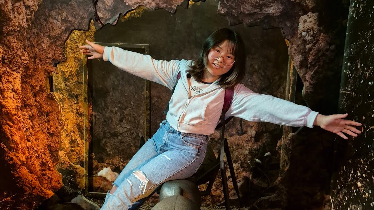 AriNomi Vlog | 30 цагт Amsterdam, Brussels-д юу хийж амжих вэ?