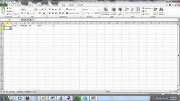 LynxPad importing entries from Excel