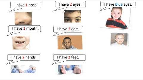 connect plus kg1 term1 unit1 i have one nose