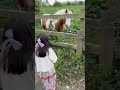 #pony#Unitedkingdom #sweetest girl#England 🇬🇧