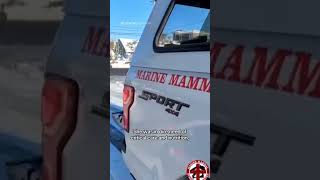 Seal pup rescued from snow-covered New Jersey street