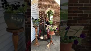 Suzanne Shields Performing Ar Lan Y Mor On The Celtic Harp