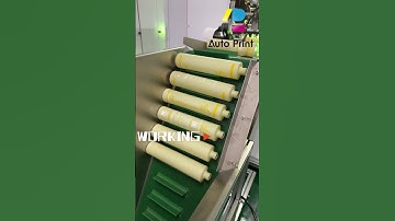 Auto Feeding Process : Fully Automatic Screen Printing Machine AP-100