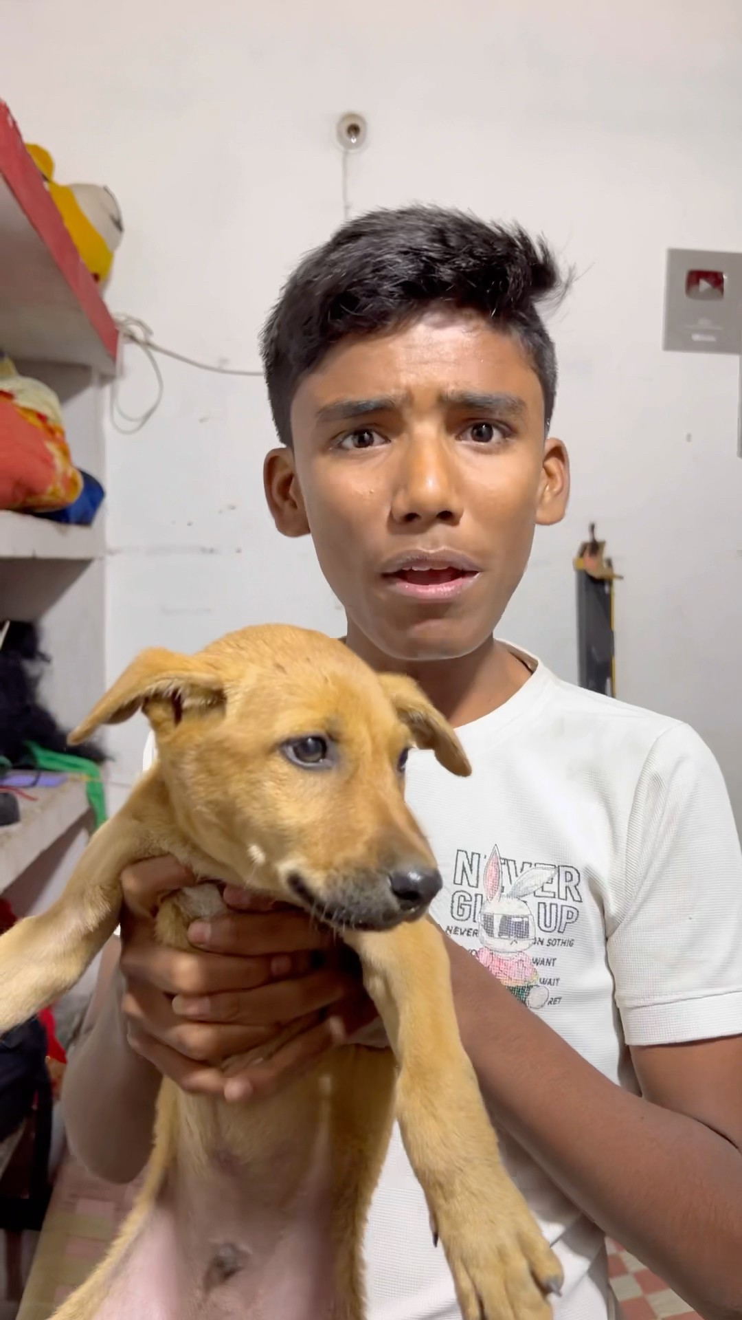 CHOTU KA LITTLE DOGGY #shorts @FACTFIREKING