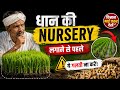 🌾धान की नर्सरी 100% अंकुरित कैसे करें 🤯 धान की नर्सरी कैसे बोएँ 💯🔥