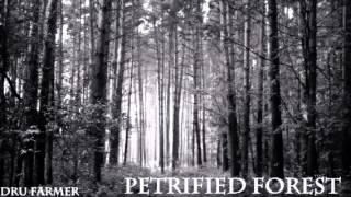 Petrified Forest; Petrified