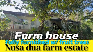 V405-24 Nusa dua farm estate fully furnished house and lot | rest house | farm house