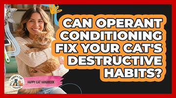 Can Operant Conditioning Fix Your Cat