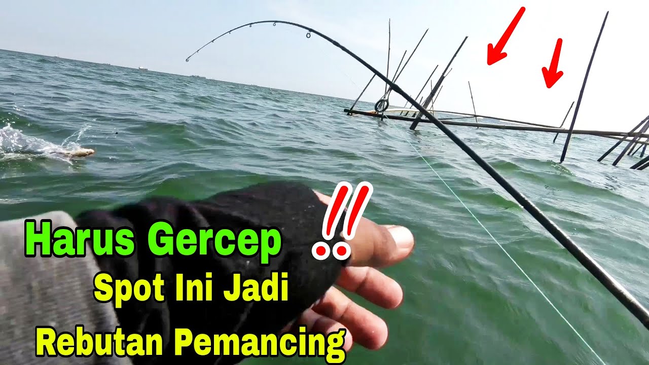 Dam Abang !! Spot Ini Jadi Rebutan Pemancing || Mancing Semarang