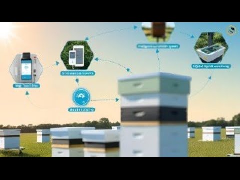 Ce se mai întămplă pe la noi? Ce mai dezvoltăm?