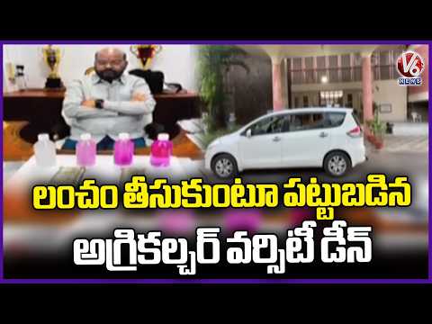 ACB Officials Caught Agriculture University Dean While Taking 1 Lakh Bribe | V6 News - V6NEWSTELUGU