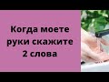 Когда моете руки, скажите всего 2 слова | Тайна Жрицы |