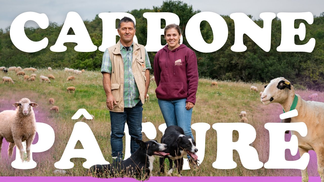 CARBONE PÂTURÉ : L'élevage contre le changement climatique ? 🐑