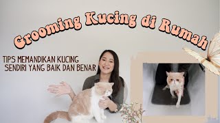 CARA GROOMING KUCING SENDIRI DI RUMAH YANG BAIK DAN BENAR