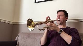 60 New Einsetzen Ansetzen Exercises Day 50