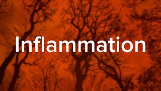 Understanding Different Types Of Inflammation - Yale Medicine Explains