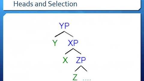 Modern Syntax in Linguistics