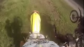 ENDURO ANIMALS