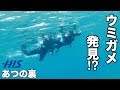 初のシュノーケリングで泳げない足の裏大ピンチ!?「あつの裏が行く!沖縄西表島旅行!#3」【H.I.S.国内旅行チャンネル】