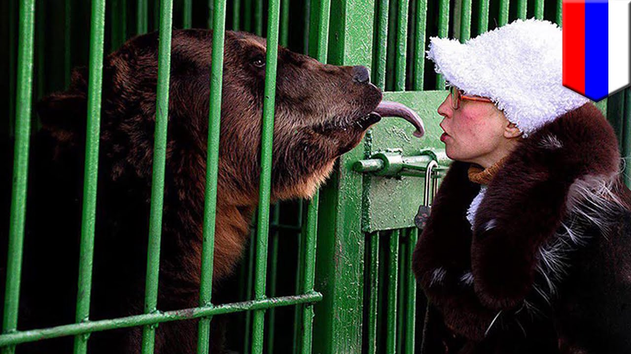 Медведь лишил ее жизни. Медведь нападает на человека в зоопарке.. Нападение медведя в зоопарке. Медведь напал на человека в зоопарке. Медведи зоопарк Владивосток.
