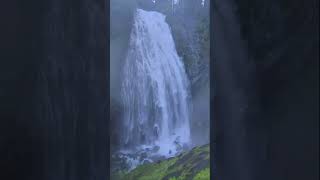 Washington State # Rainier # Waterfall Narada Falls #
